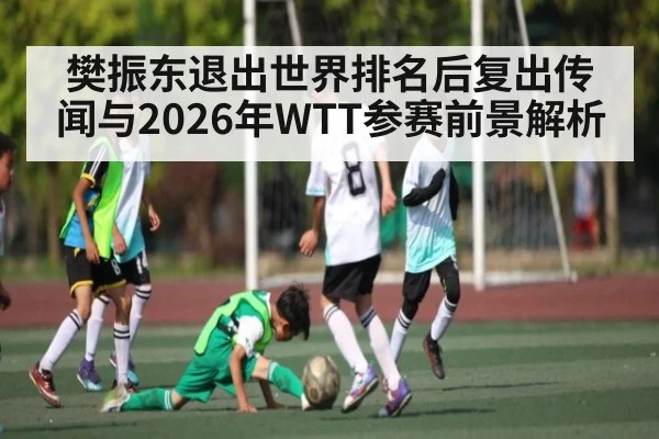 樊振东退出世界排名后复出传闻与2026年WTT参赛前景解析